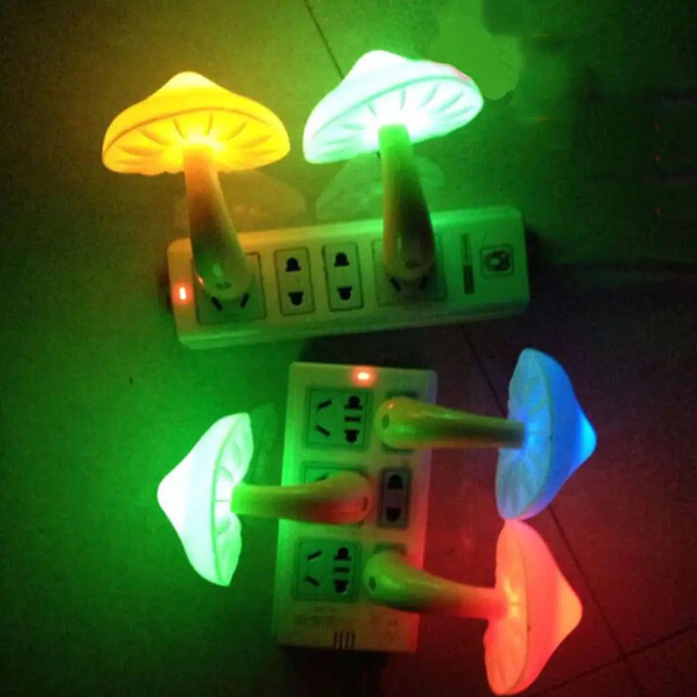 41954445164591|41954445197359
