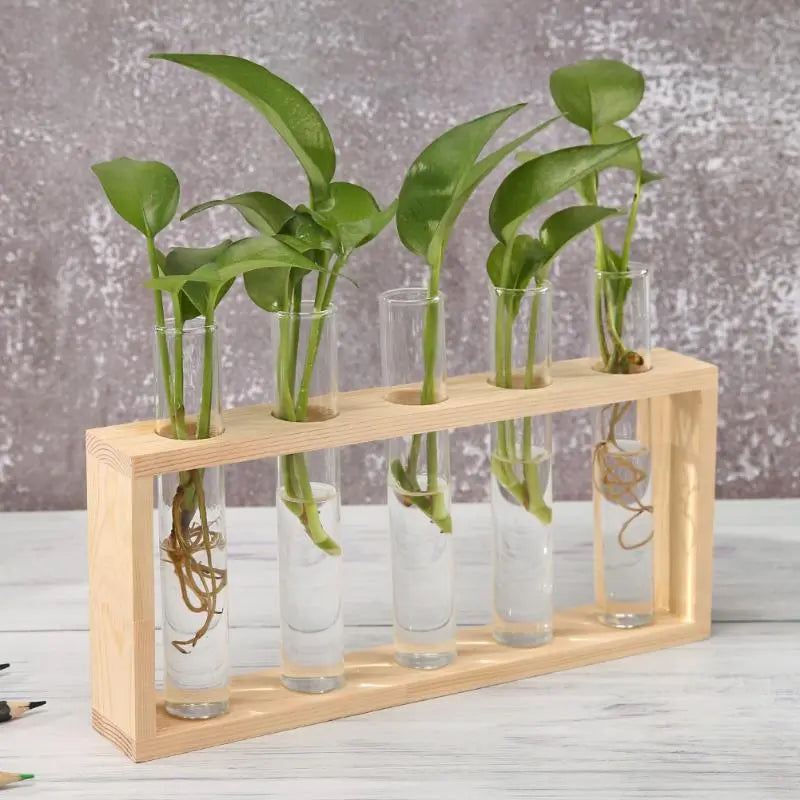 Transparent Glass Vase Wood Frame Iron Art Terrarium Bonsai Table Ornaments Terrarium Hydroponic Plant Vases Vintage Flower Pot